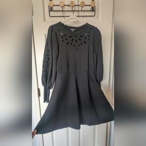 Express WinterCasual Work Dress